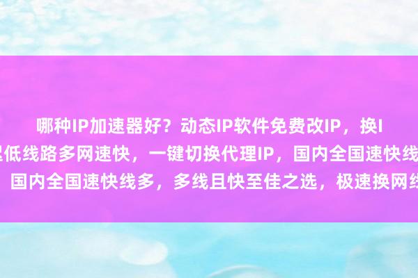 哪种IP加速器好？动态IP软件免费改IP，换IP软件电脑版下载，延迟低线路多网速快，一键切换代理IP，国内全国速快线多，多线且快至佳之选，极速换网线多快稳