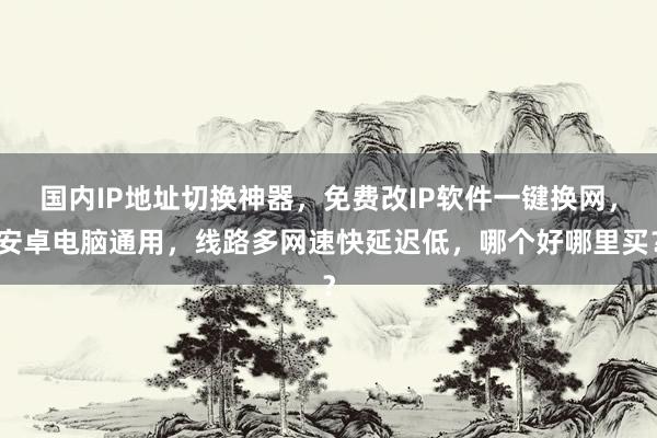 国内IP地址切换神器，免费改IP软件一键换网，安卓电脑通用，线路多网速快延迟低，哪个好哪里买？