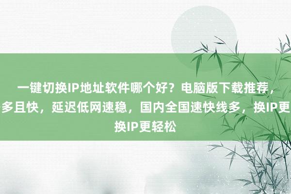 一键切换IP地址软件哪个好？电脑版下载推荐，线路多且快，延迟低网速稳，国内全国速快线多，换IP更轻松