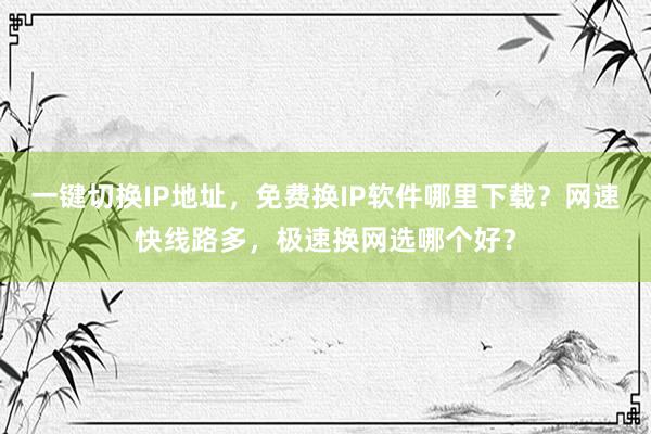 一键切换IP地址，免费换IP软件哪里下载？网速快线路多，极速换网选哪个好？