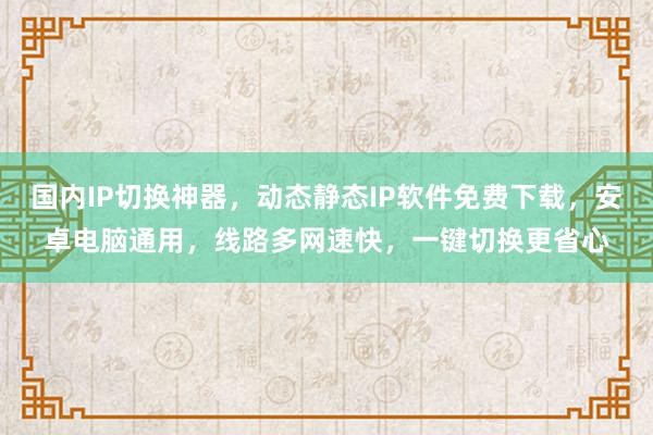 国内IP切换神器，动态静态IP软件免费下载，安卓电脑通用，线路多网速快，一键切换更省心