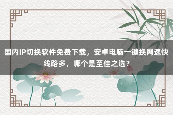 国内IP切换软件免费下载，安卓电脑一键换网速快线路多，哪个是至佳之选？