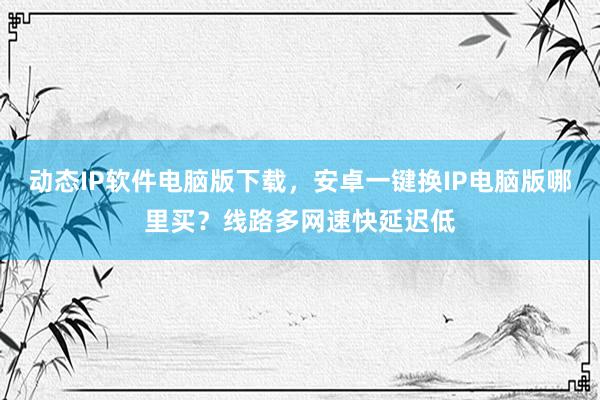 动态IP软件电脑版下载，安卓一键换IP电脑版哪里买？线路多网速快延迟低