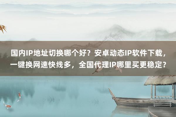 国内IP地址切换哪个好？安卓动态IP软件下载，一键换网速快线多，全国代理IP哪里买更稳定？