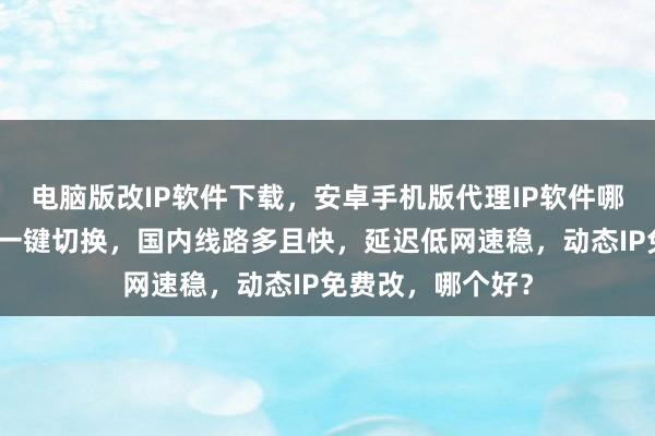 电脑版改IP软件下载，安卓手机版代理IP软件哪里买？极速换网一键切换，国内线路多且快，延迟低网速稳，动态IP免费改，哪个好？