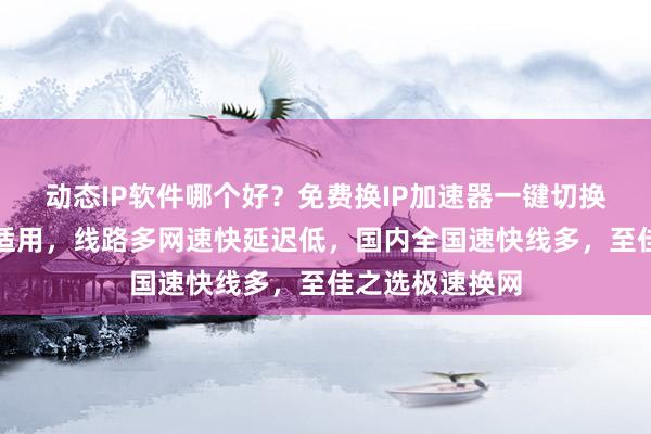 动态IP软件哪个好？免费换IP加速器一键切换，安卓电脑都适用，线路多网速快延迟低，国内全国速快线多，至佳之选极速换网