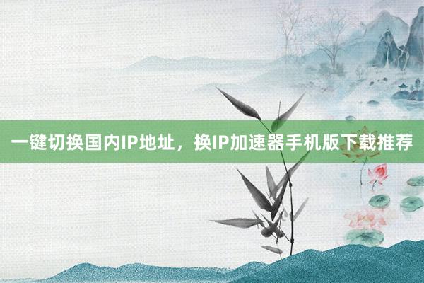 一键切换国内IP地址，换IP加速器手机版下载推荐