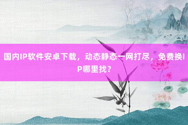 国内IP软件安卓下载，动态静态一网打尽，免费换IP哪里找？