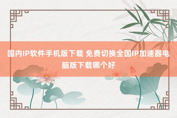 国内IP软件手机版下载 免费切换全国IP加速器电脑版下载哪个好