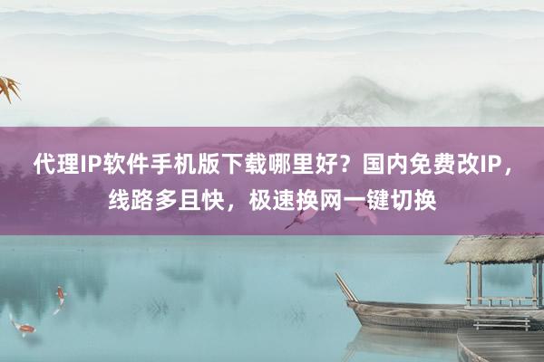 代理IP软件手机版下载哪里好？国内免费改IP，线路多且快，极速换网一键切换