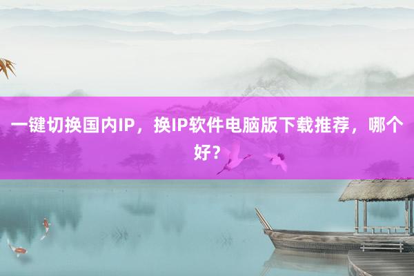 一键切换国内IP，换IP软件电脑版下载推荐，哪个好？