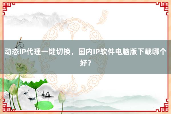 动态IP代理一键切换，国内IP软件电脑版下载哪个好？