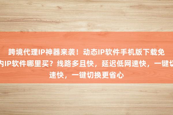 跨境代理IP神器来袭！动态IP软件手机版下载免费版，国内IP软件哪里买？线路多且快，延迟低网速快，一键切换更省心