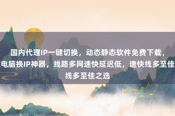 国内代理IP一键切换，动态静态软件免费下载，安卓电脑换IP神器，线路多网速快延迟低，速快线多至佳之选