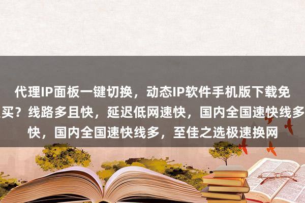 代理IP面板一键切换，动态IP软件手机版下载免费版，换IP软件哪里买？线路多且快，延迟低网速快，国内全国速快线多，至佳之选极速换网