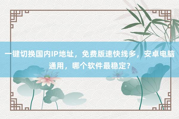 一键切换国内IP地址，免费版速快线多，安卓电脑通用，哪个软件最稳定？