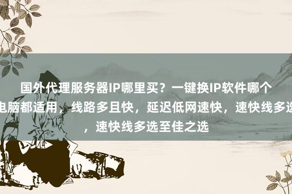 国外代理服务器IP哪里买？一键换IP软件哪个好？安卓电脑都适用，线路多且快，延迟低网速快，速快线多选至佳之选