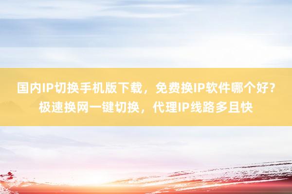 国内IP切换手机版下载，免费换IP软件哪个好？极速换网一键切换，代理IP线路多且快