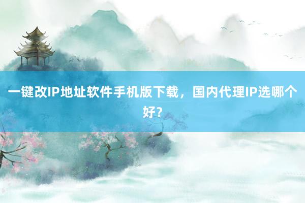 一键改IP地址软件手机版下载，国内代理IP选哪个好？