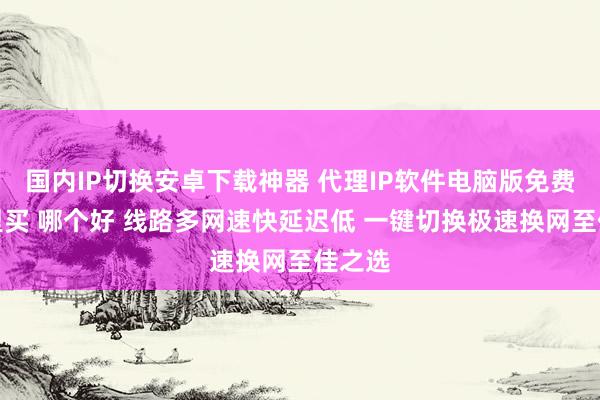 国内IP切换安卓下载神器 代理IP软件电脑版免费版哪里买 哪个好 线路多网速快延迟低 一键切换极速换网至佳之选